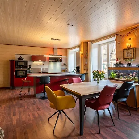 Apartment Meuble De Tourisme 4 Etoiles, Centre Historique Kaysersberg-Vignoble