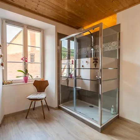 Apartment Meuble De Tourisme 4 Etoiles, Centre Historique Kaysersberg-Vignoble