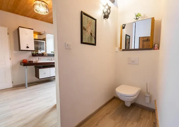 Meuble De Tourisme 4 Etoiles, Centre Historique Kaysersberg-Vignoble